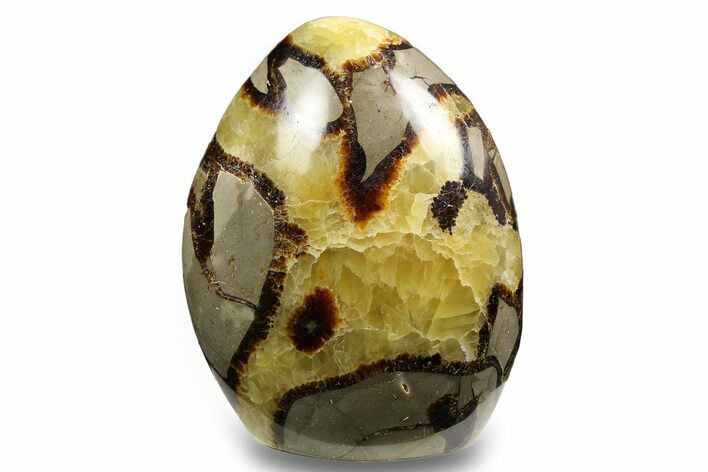 Free-Standing, Polished Septarian - Madagascar #258637